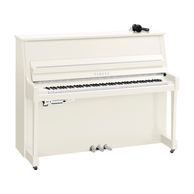 Image du produit B20SC3 (Blanc poli chrome)