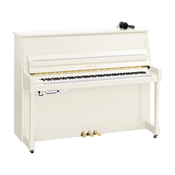 Image du produit B20SC3 (Blanc poli)
