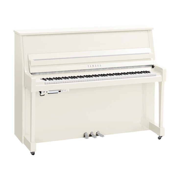 Image du produit B20TC3 (Blanc poli chrome)