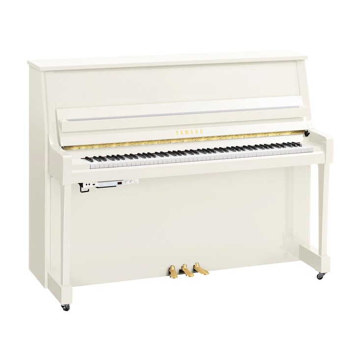 Image du produit B20TC3 (Blanc poli)