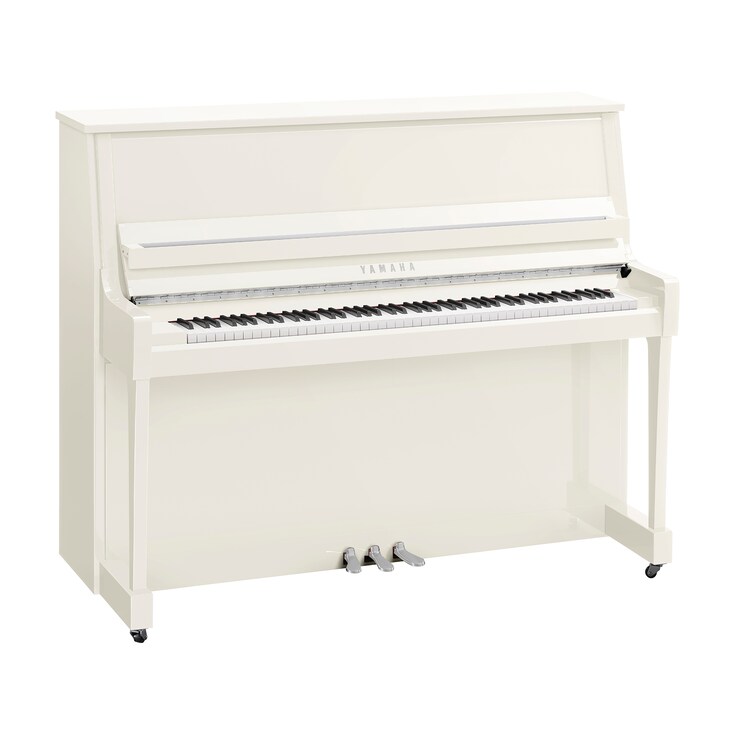 Image du produit B30 (Blanc poli chrome)