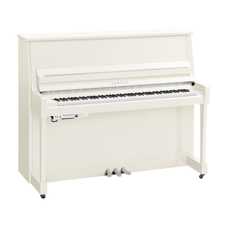Image du produit B30TC3 (Blanc poli chrome)