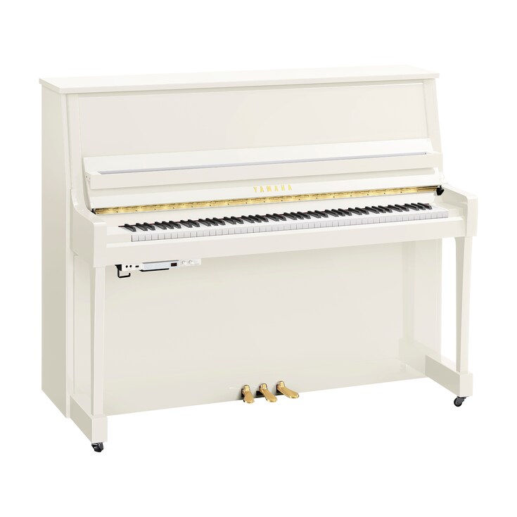 Image du produit B30TC3 (Blanc poli)