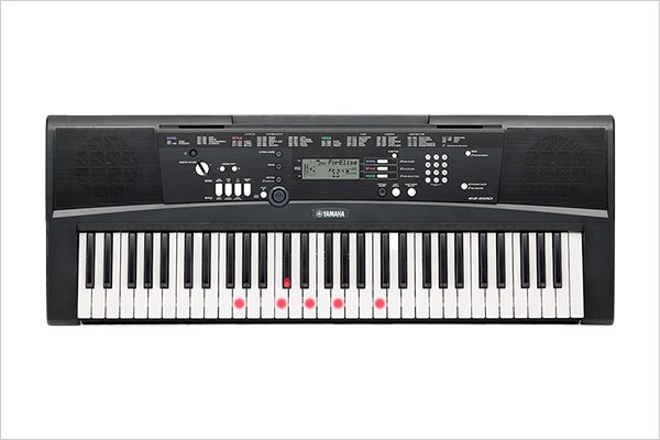 EZ-220
