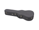 Closed hardshell case for the acoustic guitar.