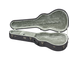 Open hardshell case for the acoustic guitar.
