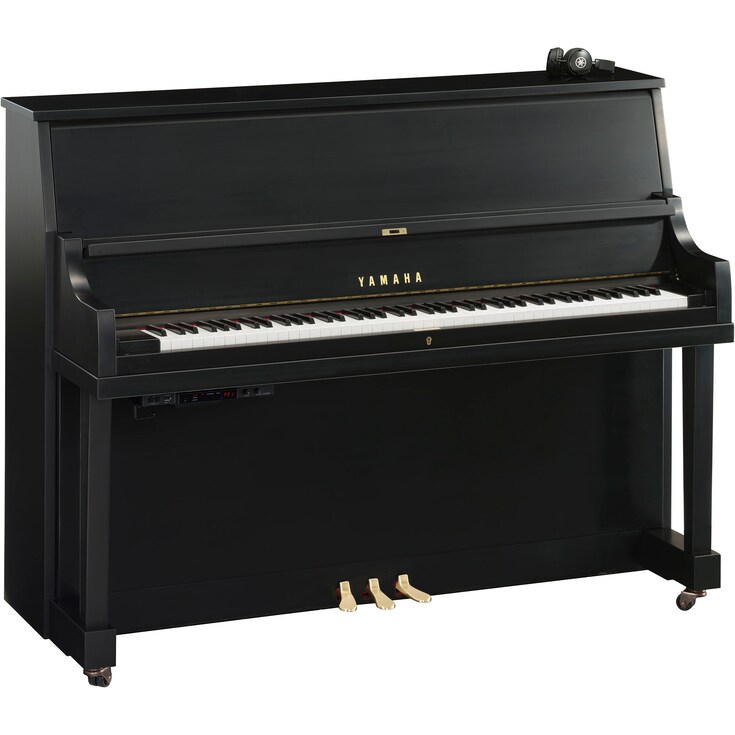 Yamaha P22 SC3