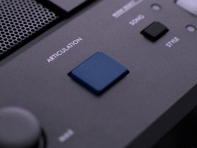 PSR-E583 Image caractéristique du bouton ARTICULATION