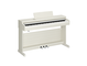 YDP-166_Bouleau blanc_angle