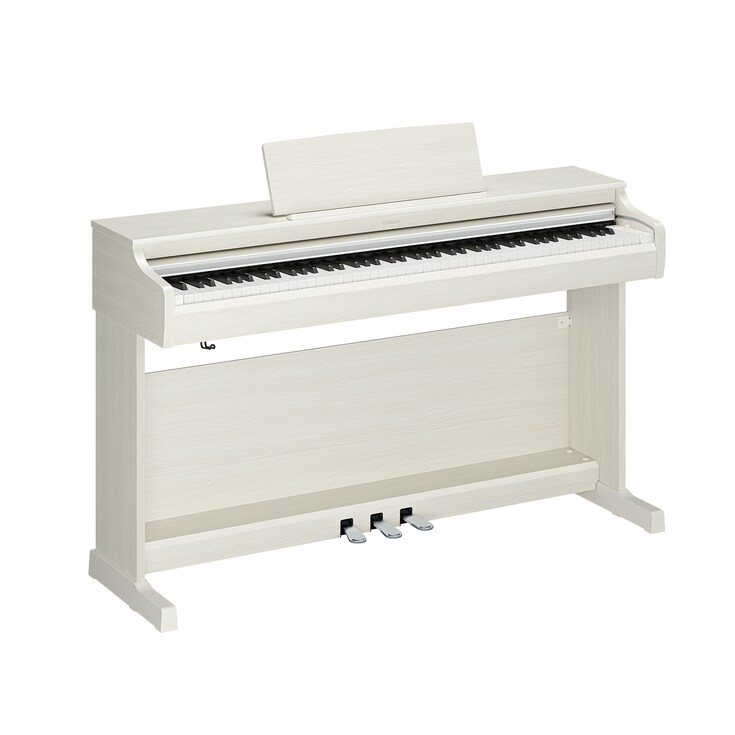 YDP-166_Bouleau blanc_angle