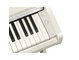 YDP-166_Bouleau blanc_clavier_droite