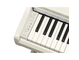 YDP-166_Bouleau blanc_clavier_gauche