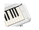 YDP-166_Blanc_clavier_droite