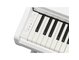 YDP-166_Blanc_clavier_gauche
