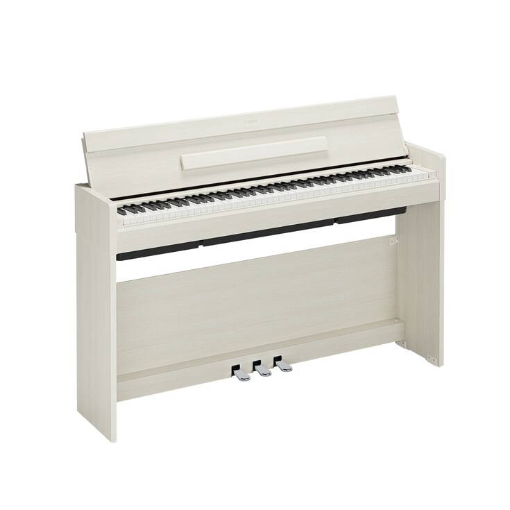YDP-S36_Bouleau blanc_angle