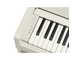 YDP-S36_Bouleau blanc_clavier_gauche