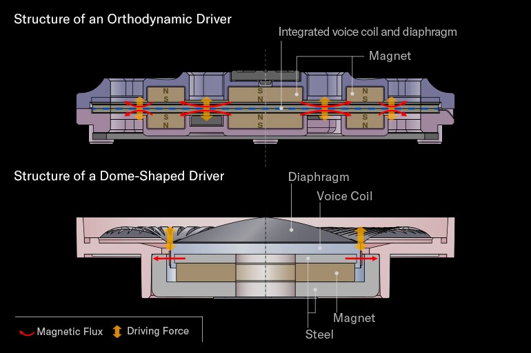 Image de la structure du transducteur Orthodynamic
