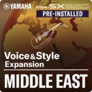 Moyen-Orient (Pack d'extension préinstallé - données compatibles avec Yamaha Expansion Manager)