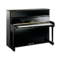 Polished Ebony