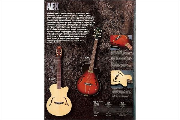 Guitare électrique AEX-500
